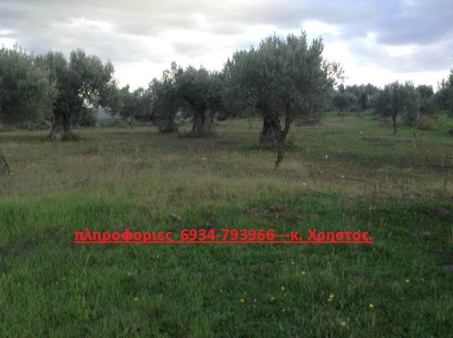 Φώτο-σπίτι 181212164526, Φωτογραφία 10,   προς πώληση