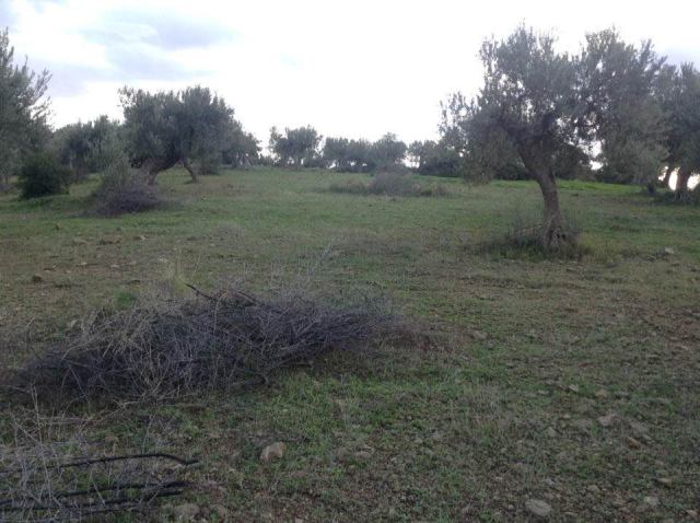 Φώτο-σπίτι 181212164526, Φωτογραφία 4,   προς πώληση