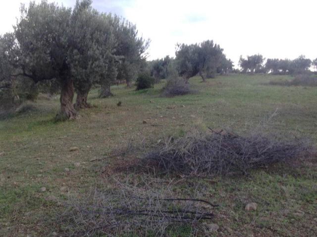 Φώτο-σπίτι 181212164526, Φωτογραφία 6,   προς πώληση