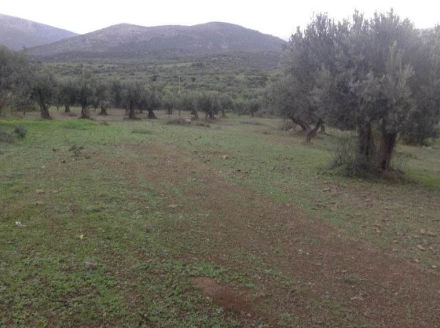 Φώτο-σπίτι 181212164526, Φωτογραφία 8,   προς πώληση