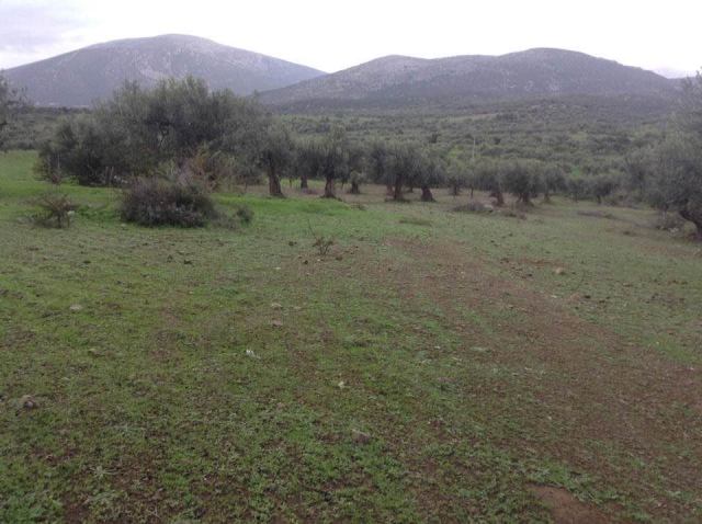 Φώτο-σπίτι 181212164526, Φωτογραφία 9,   προς πώληση