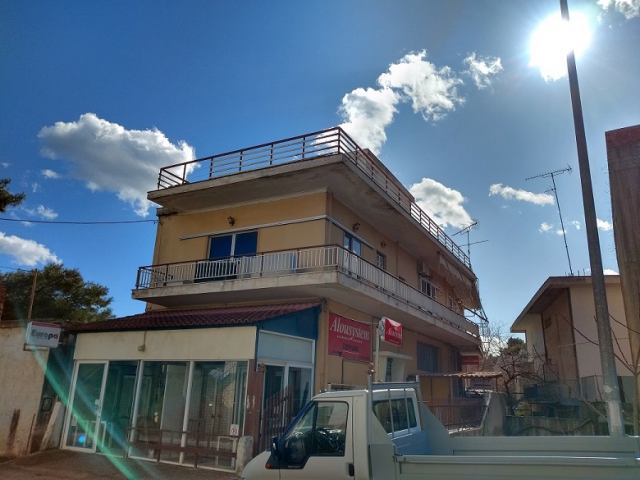 Αγγελία 211104132338, Φωτογραφία 1, Μονοκατοικία &nbsp; Αγία Μαρίνα &nbsp; Μαραθώνος &nbsp;/Αν.Αττικής/ προς πώληση