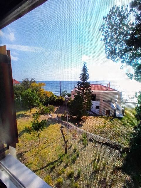 Αγγελία 211125121126, Φωτογραφία 2, Εξοχικό/η Μονοκατοικία &nbsp; Πλατάνα &nbsp; Κύμης &nbsp;/Εύβοιας/ προς πώληση