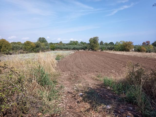 Αγγελία 220902192101, Φωτογραφία 1, Αγροτεμάχιο &nbsp; Πλάκα Λιτοχώρου &nbsp; Λιτοχώρου &nbsp;/Πιερίας/ προς πώληση