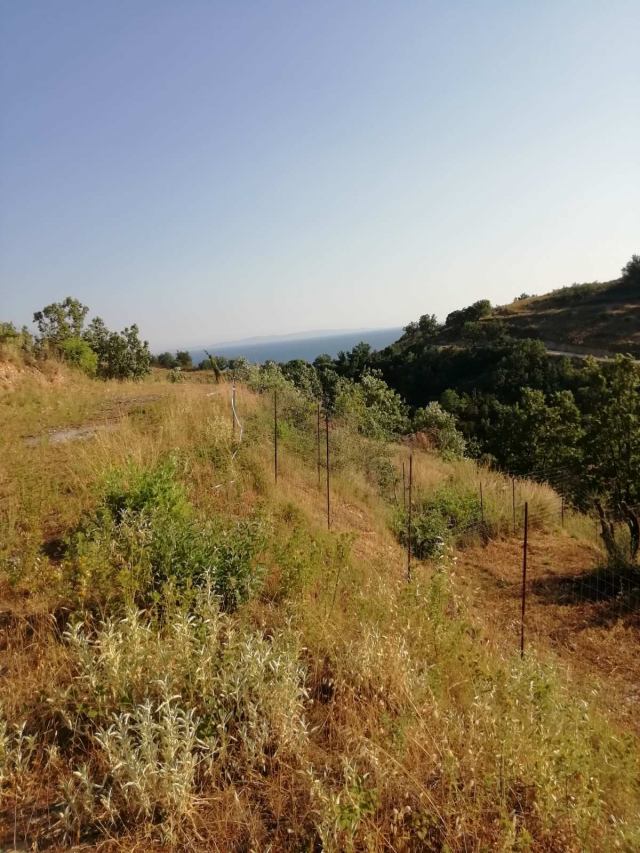 Αγγελία 230217120336, Φωτογραφία 2, Οικόπεδο &nbsp; Συβοτα &nbsp; Ηγουμενίτσα &nbsp;/Θεσπρωτίας/ προς πώληση