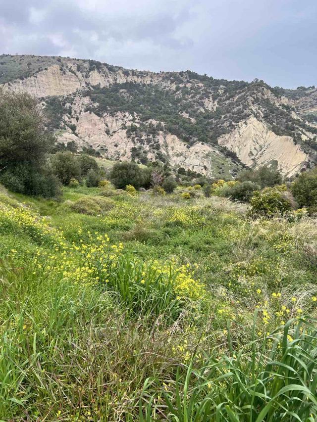 Αγγελία 230417215654, Φωτογραφία 0, Πολείται Αγροτεμάχιο &nbsp; Ροζενα &nbsp; Ευρωστίνης &nbsp;/Κορινθίας/. Ακίνητα προς πώληση.