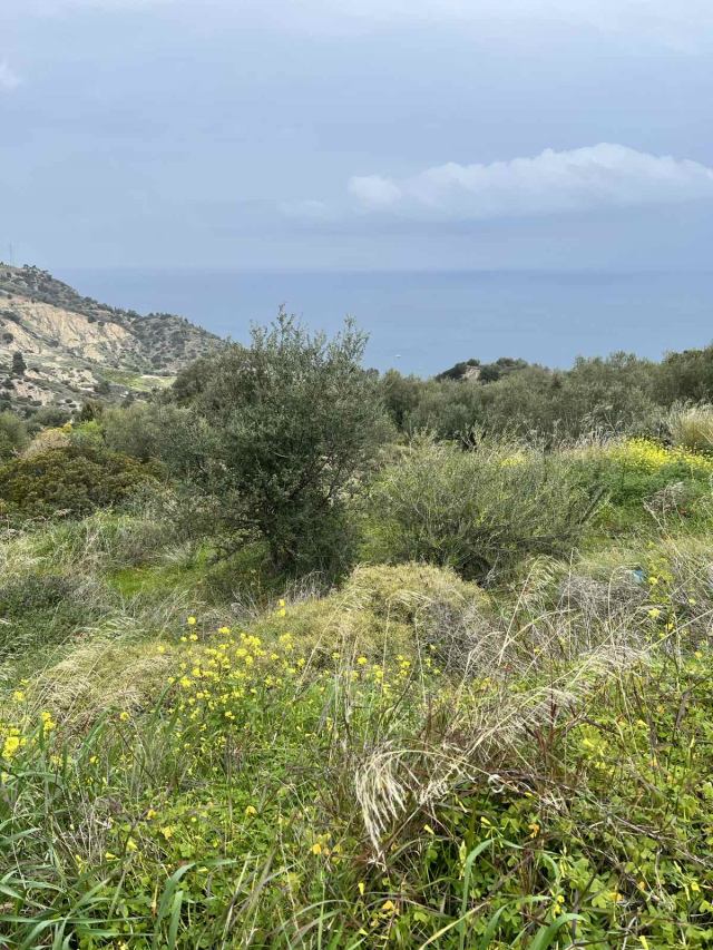 Αγγελία 230417215654, Φωτογραφία 1, Αγροτεμάχιο &nbsp; Ροζενα &nbsp; Ευρωστίνης &nbsp;/Κορινθίας/ προς πώληση