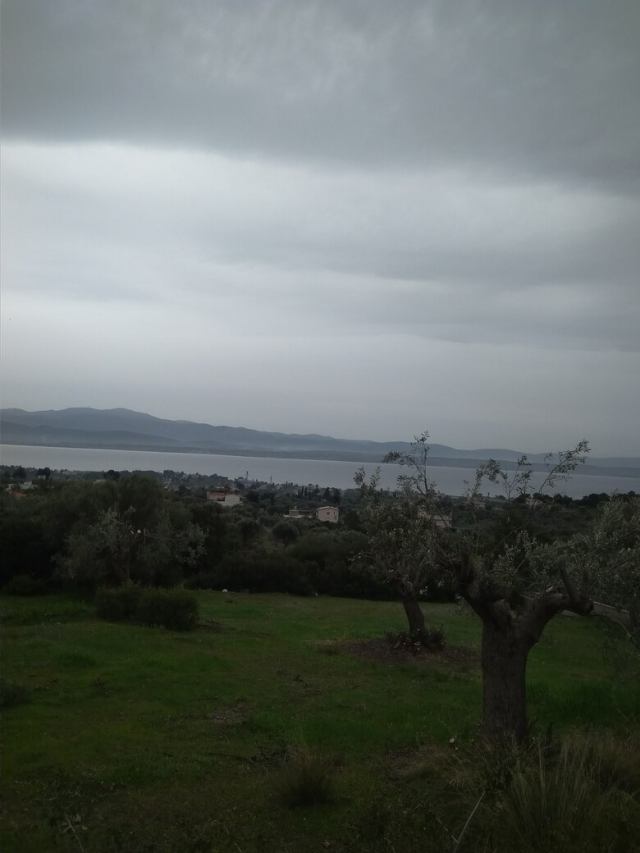 Αγγελία 230925135108, Φωτογραφία 1, Εξοχικό/η Μεζονέτα &nbsp; Μαλακωντα &nbsp;  &nbsp;/Εύβοιας/ προς πώληση