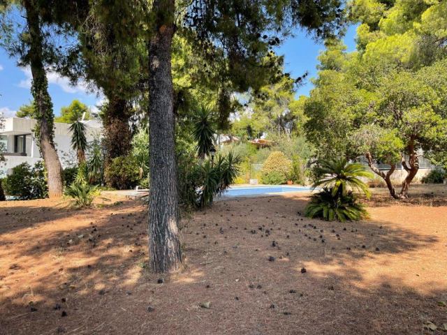 Αγγελία 240321143856, Φωτογραφία 0, Πολείται Οικόπεδο &nbsp; Κουμαριάς 12 &nbsp; Εκάλης &nbsp;/Αθήνα-Αττικής/. Ακίνητα προς πώληση.