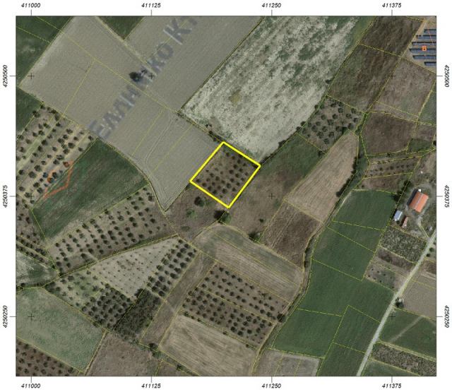 Αγγελία 251020170410, Φωτογραφία 0, Πολείται Αγροτεμάχιο &nbsp; Κοινότητα Αγία Παρασκευή, Κορώνεια &nbsp; Κορώνειας &nbsp;/Βοιωτίας/. Ακίνητα προς πώληση.