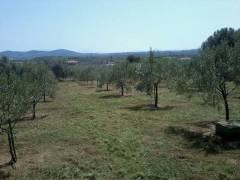 Φώτο Σπίτι - ακίνήτο 19