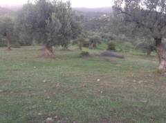 Φώτο Σπίτι - ακίνήτο 51