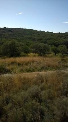 Φώτο Σπίτι - ακίνήτο 115