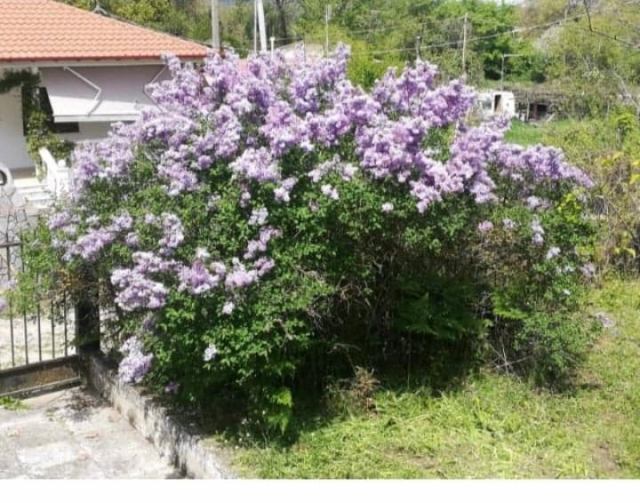 Φώτο-σπίτι 200806125003, Φωτογραφία 9,   προς πώληση