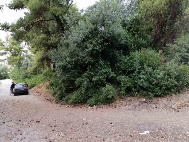 Φώτο-σπίτι 200817191114, Φωτογραφία 0, Πολείται  . Ακίνητα προς πώληση.