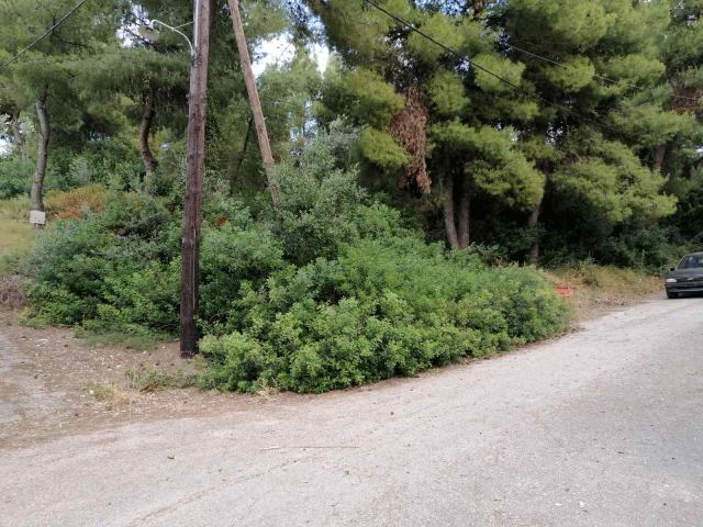 Φώτο-σπίτι 200817191114, Φωτογραφία 1,   προς πώληση