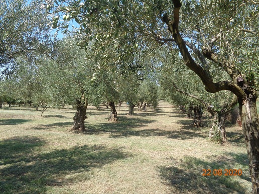 Φώτο-σπίτι 200823171603, Φωτογραφία 2,   προς πώληση