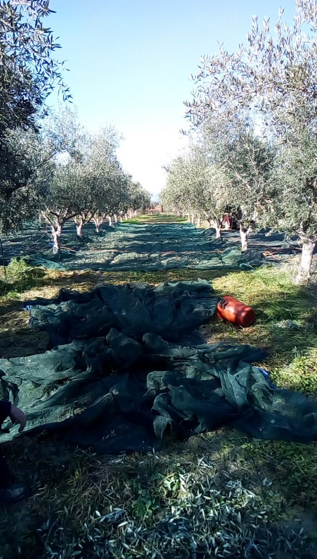 Φώτο-σπίτι 210112144659, Φωτογραφία 0, Πολείται  . Ακίνητα προς πώληση.