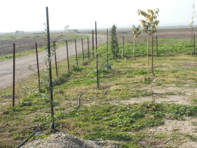 Φώτο-σπίτι 210121200603, Φωτογραφία 0, Πολείται  . Ακίνητα προς πώληση.