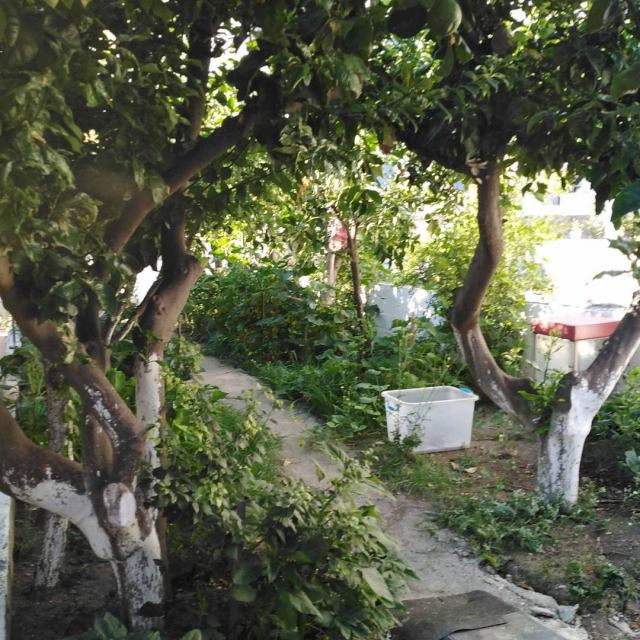 Φώτο-σπίτι 210220111817, Φωτογραφία 0, Πολείται Μονοκατοικία &nbsp; Παλιό Λιμάνι &nbsp; Σπετσών &nbsp;/Πειραιάς-Αττικής/. Ακίνητα προς πώληση.