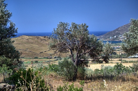 Φώτο-σπίτι 210223205730, Φωτογραφία 2,   προς πώληση