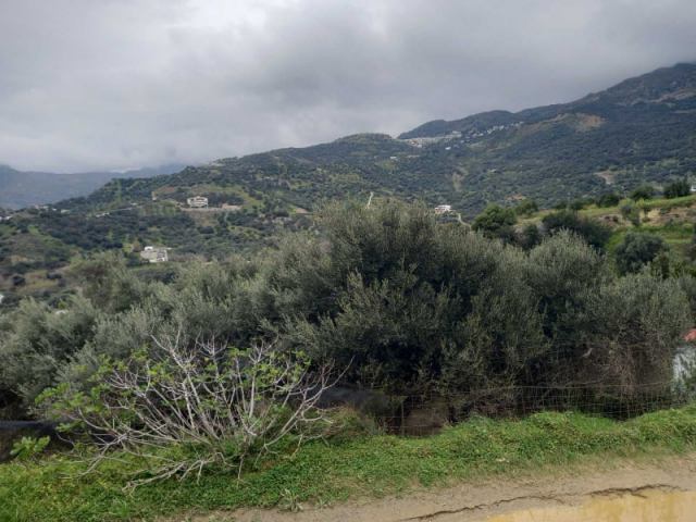 Φώτο-σπίτι 210314143940, Φωτογραφία 0, Πολείται  . Ακίνητα προς πώληση.