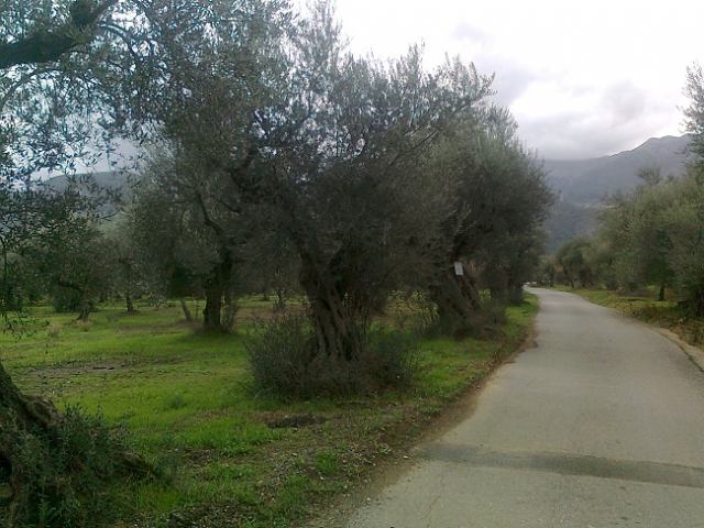 Φώτο-σπίτι 210414104742, Φωτογραφία 0, Πολείται  . Ακίνητα προς πώληση.