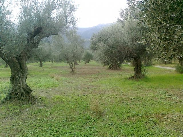 Φώτο-σπίτι 210414104742, Φωτογραφία 1,   προς πώληση