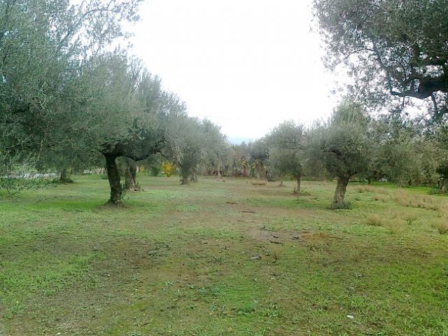 Φώτο-σπίτι 210414104742, Φωτογραφία 2,   προς πώληση