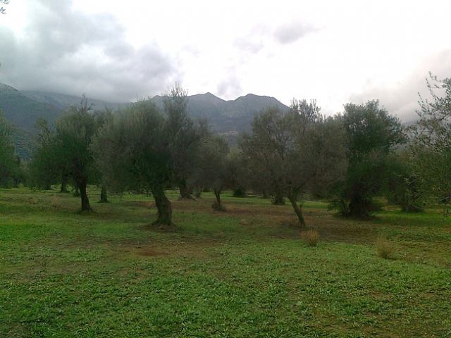 Φώτο-σπίτι 210414104742, Φωτογραφία 3,   προς πώληση