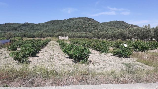 Φώτο-σπίτι 210609115935, Φωτογραφία 1,   προς πώληση