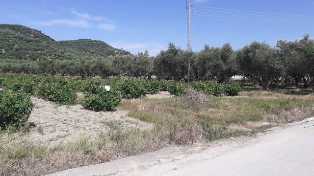 Φώτο-σπίτι 210609115935, Φωτογραφία 3,   προς πώληση