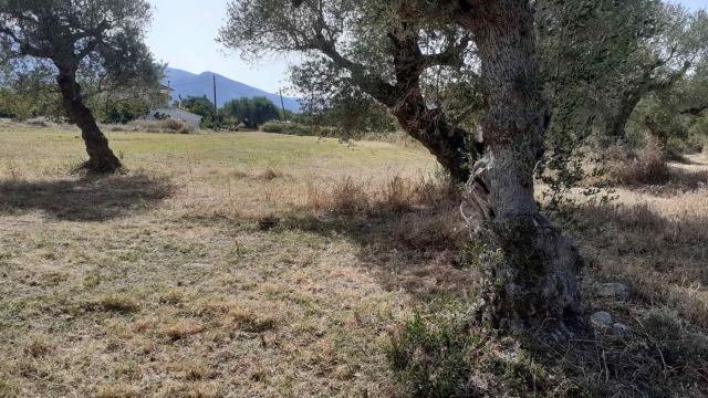 Φώτο-σπίτι 210609120502, Φωτογραφία 1,   προς πώληση