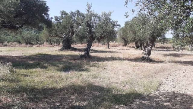 Φώτο-σπίτι 210609120502, Φωτογραφία 2,   προς πώληση