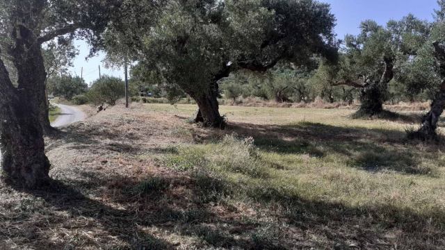 Φώτο-σπίτι 210609120502, Φωτογραφία 3,   προς πώληση