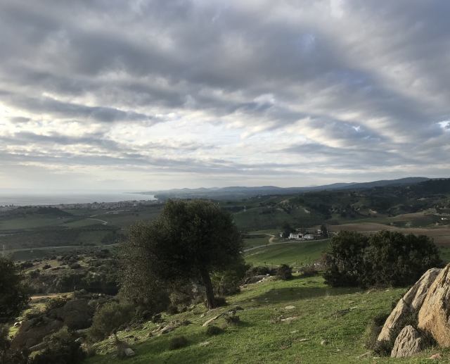 Αγγελία 211212200224, Φωτογραφία 1, Αγροτεμάχιο &nbsp; Πολύγυρος &nbsp; Πολύγυρος &nbsp;/Χαλκιδικής/ προς πώληση