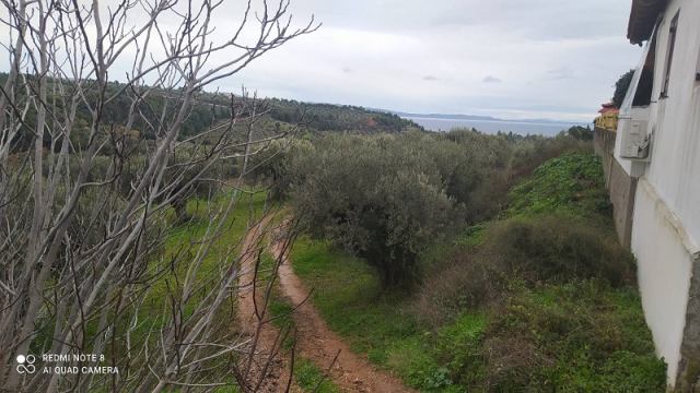 Αγγελία 211212202928, Φωτογραφία 0, Πολείται Αγροτεμάχιο &nbsp; Πολύγυρος &nbsp; Πολύγυρος &nbsp;/Χαλκιδικής/. Ακίνητα προς πώληση.