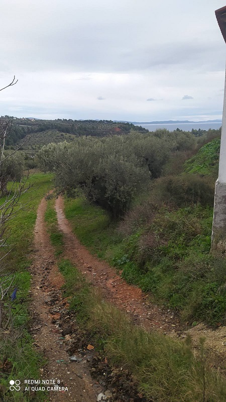Αγγελία 211212202928, Φωτογραφία 1, Αγροτεμάχιο &nbsp; Πολύγυρος &nbsp; Πολύγυρος &nbsp;/Χαλκιδικής/ προς πώληση