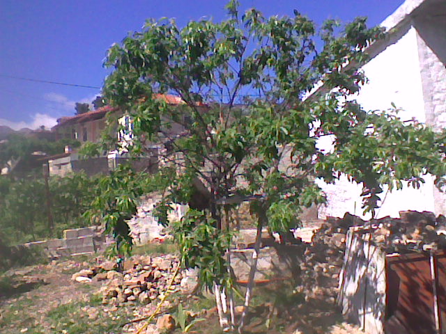 Αγγελία 220310222006, Φωτογραφία 7, Μονοκατοικία &nbsp; Αγια Τριαδα &nbsp; Κορώνειας &nbsp;/Βοιωτίας/ προς πώληση