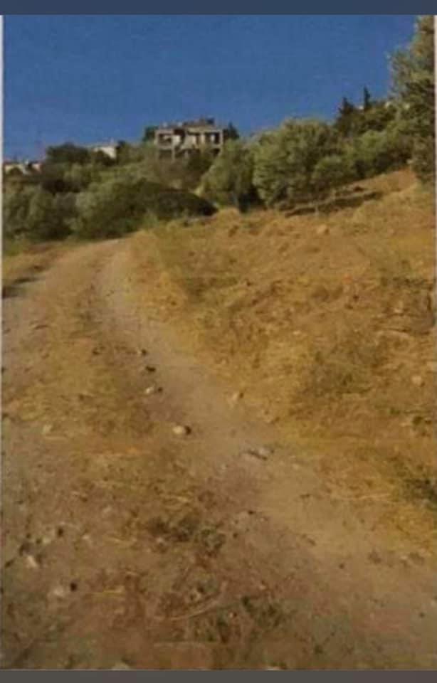 Αγγελία 220625143207, Φωτογραφία 0, Πολείται Αγροτεμάχιο &nbsp; Καλλιτεχνουπολη &nbsp; Ραφήνας &nbsp;/Αν.Αττικής/. Ακίνητα προς πώληση.