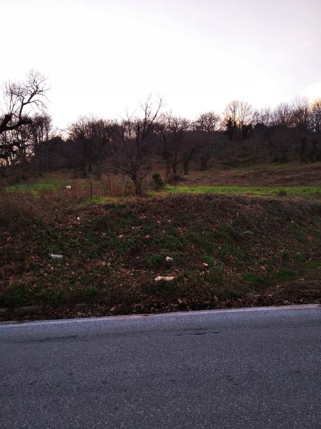 Αγγελία 220828174243, Φωτογραφία 1, Οικόπεδο &nbsp; Αγιος Δημητριος &nbsp; Μουρεσίου &nbsp;/Μαγνησίας/ προς πώληση
