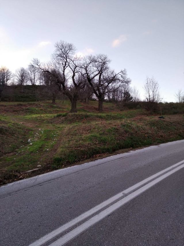 Αγγελία 220828174243, Φωτογραφία 3, Οικόπεδο &nbsp; Αγιος Δημητριος &nbsp; Μουρεσίου &nbsp;/Μαγνησίας/ προς πώληση