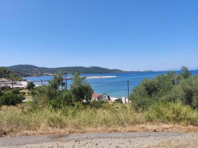 Αγγελία 221018213755, Φωτογραφία 1, Αγροτεμάχιο &nbsp; Παλιούρι &nbsp; Παλλήνης &nbsp;/Χαλκιδικής/ προς πώληση