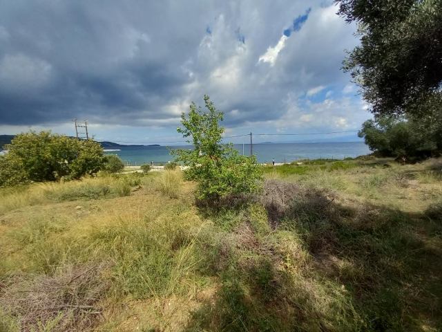 Αγγελία 221018213755, Φωτογραφία 2, Αγροτεμάχιο &nbsp; Παλιούρι &nbsp; Παλλήνης &nbsp;/Χαλκιδικής/ προς πώληση