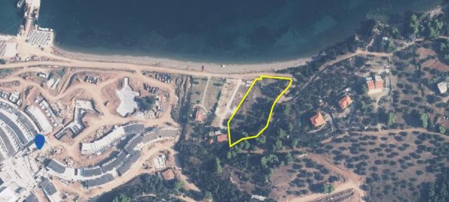 Αγγελία 221018213755, Φωτογραφία 5, Αγροτεμάχιο &nbsp; Παλιούρι &nbsp; Παλλήνης &nbsp;/Χαλκιδικής/ προς πώληση