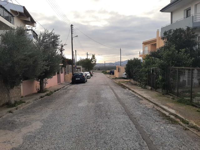 Αγγελία 221212084718, Φωτογραφία 3, Οικόπεδο &nbsp; Θεοδώρου Ι. Παπαχρήστου &nbsp; Σπάτων &nbsp;/Αν.Αττικής/ προς πώληση