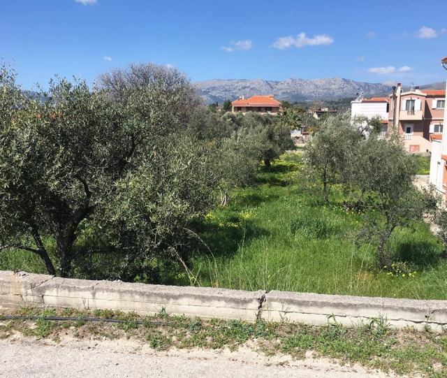 Αγγελία 230615115534, Φωτογραφία 1, Οικόπεδο &nbsp; Λευκονια &nbsp; Αγίου Μηνά &nbsp;/Χίου/ προς πώληση