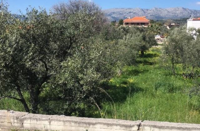 Αγγελία 230615115534, Φωτογραφία 2, Οικόπεδο &nbsp; Λευκονια &nbsp; Αγίου Μηνά &nbsp;/Χίου/ προς πώληση