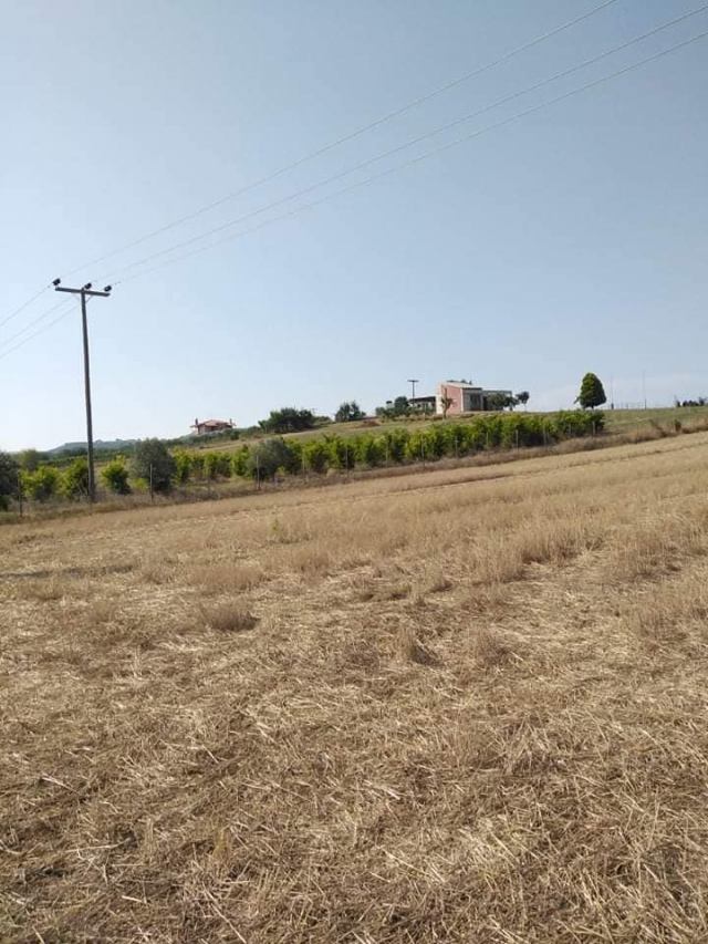 Αγγελία 230723195453, Φωτογραφία 1, Αγροτεμάχιο &nbsp; Νέα Ρόδα &nbsp; Σταγείρων-Ακάνθου &nbsp;/Χαλκιδικής/ προς πώληση