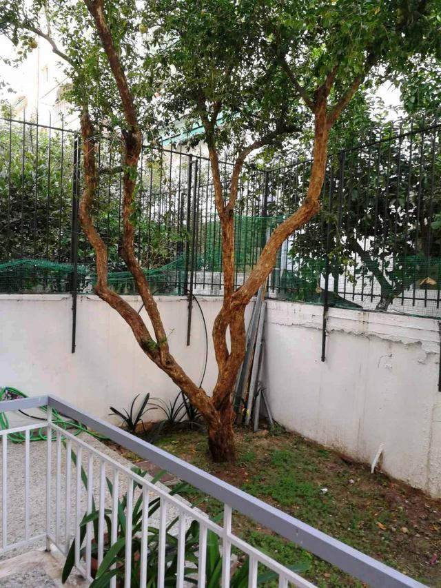 Φώτο-σπίτι 231011170102, Φωτογραφία 0, Πολείται Διαμέρισμα &nbsp; Κάτω Πατήσια &nbsp; Αθήνα &nbsp;/Αθήνα-Αττικής/. Ακίνητα προς πώληση.